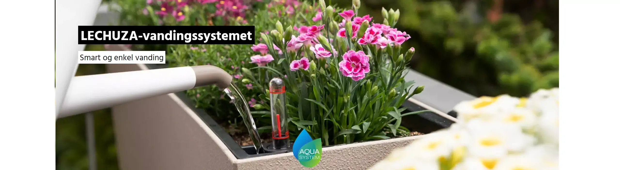 Lechuza selvandingssystem selvandingspotte