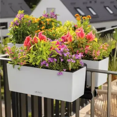 Lechuza Balconera altankasse selvanding