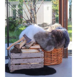 Lammeskind champignon