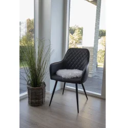 Lammeskindshynde rhvid