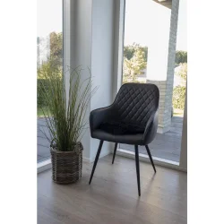 Lammeskindshynde sort