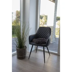 Lammeskindshynde brun