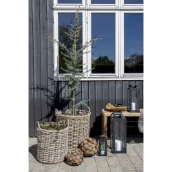 Indo kurve - st af 2