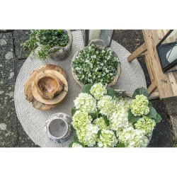 Kuta kurve - st af 3