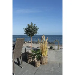 Sema kurve - st af 3