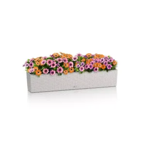 LECHUZA BALCONERA Cottage Lysgr�