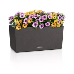 LECHUZA BALCONERA Stone Sort