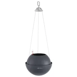 Lechuza Bola Color sort