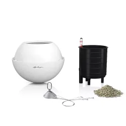 Lechuza Bola Color hvid