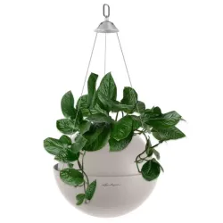 Lechuza Bola Color sand