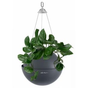 LECHUZA BOLA Color sort