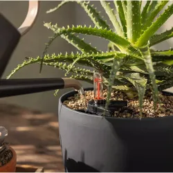 LECHUZA CLASSICO Color M�rk gr�