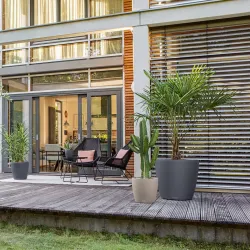 Classico Color Mrk gr, stor