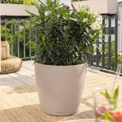 Classico Color Mrk gr, stor