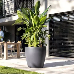 Classico Color Mrk gr, stor