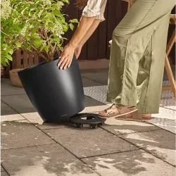 Classico Color Mrk gr, stor