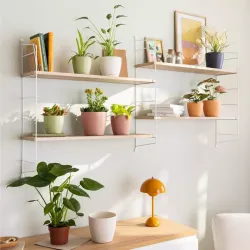 Classico Color Deco - Lind