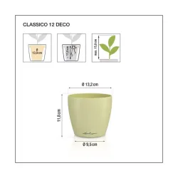 Classico Color Deco - Papaya