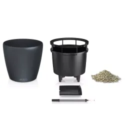 Classico Color LS - Sandbrun