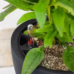 Classico Color LS - Sandbrun