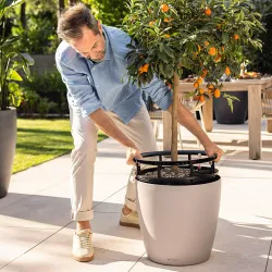 Classico Color LS - Sandbrun