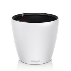 Classico Color LS - Hvid