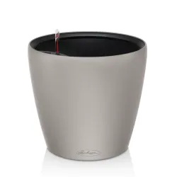 Classico Color LS - Sandbrun