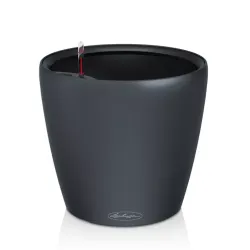 Classico Color LS - Skiffer