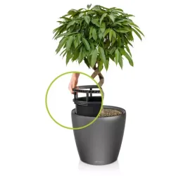 Classico Premium LS Koksgr�