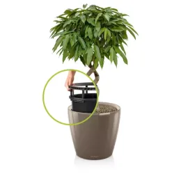 Classico Premium LS Taupe