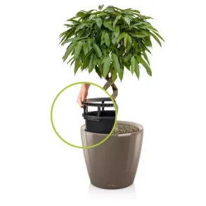 Classico Premium LS Taupe