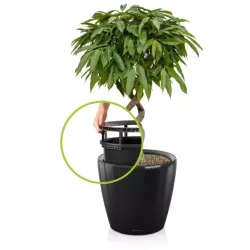 Classico Premium LS Sort