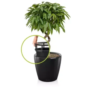 Classico Premium LS Sort