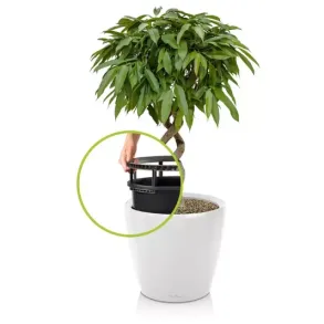 Classico Premium LS Hvid