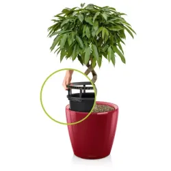 Classico Premium LS R�d