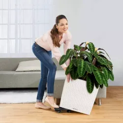 LECHUZA CUBE Cottage Lys gr