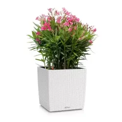 LECHUZA CUBE Cottage Hvid