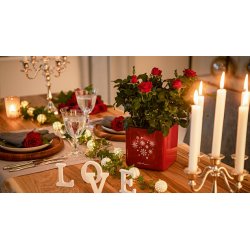 LECHUZA CUBE glossery Snow