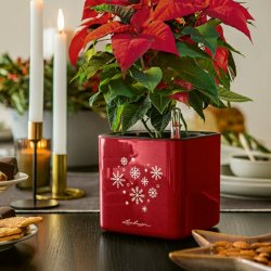 LECHUZA CUBE glossery Snow