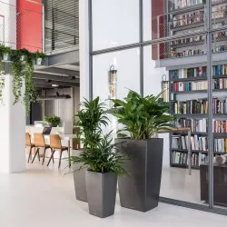 LECHUZA CUBICO Premium slv metalic