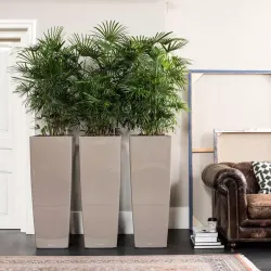 LECHUZA CUBICO Alto koksgr hjglans 