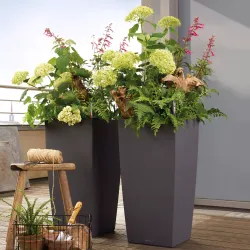 LECHUZA CUBICO Color muskat