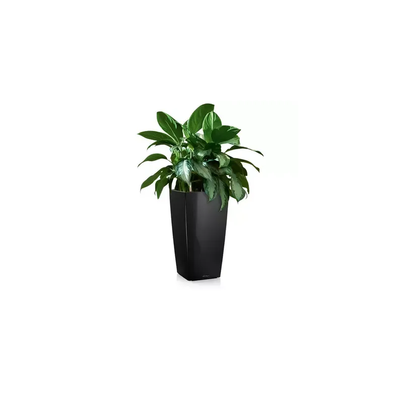 LECHUZA CUBICO Premium sort hjglans