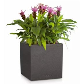 LECHUZA CANTO Stone low - graphite black