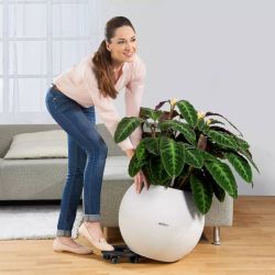 Hjul til Lechuza potter