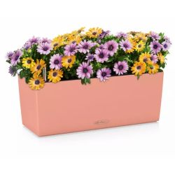 LECHUZA BALCONERA Color Coralr�d