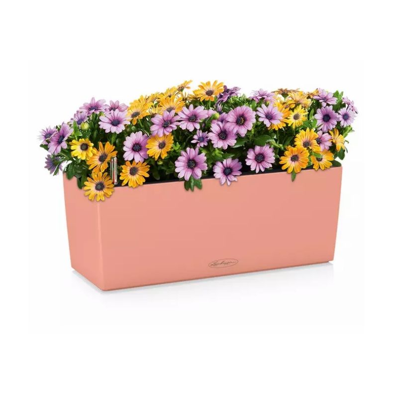 LECHUZA BALCONERA Color Coralr�d