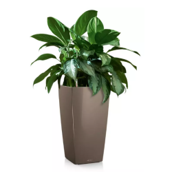 LECHUZA CUBICO Premium taupe hjglans