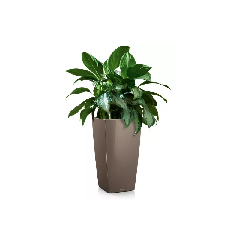 LECHUZA CUBICO Premium taupe hjglans