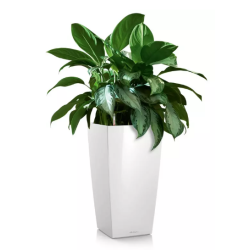 LECHUZA CUBICO Premium hvid hjglans